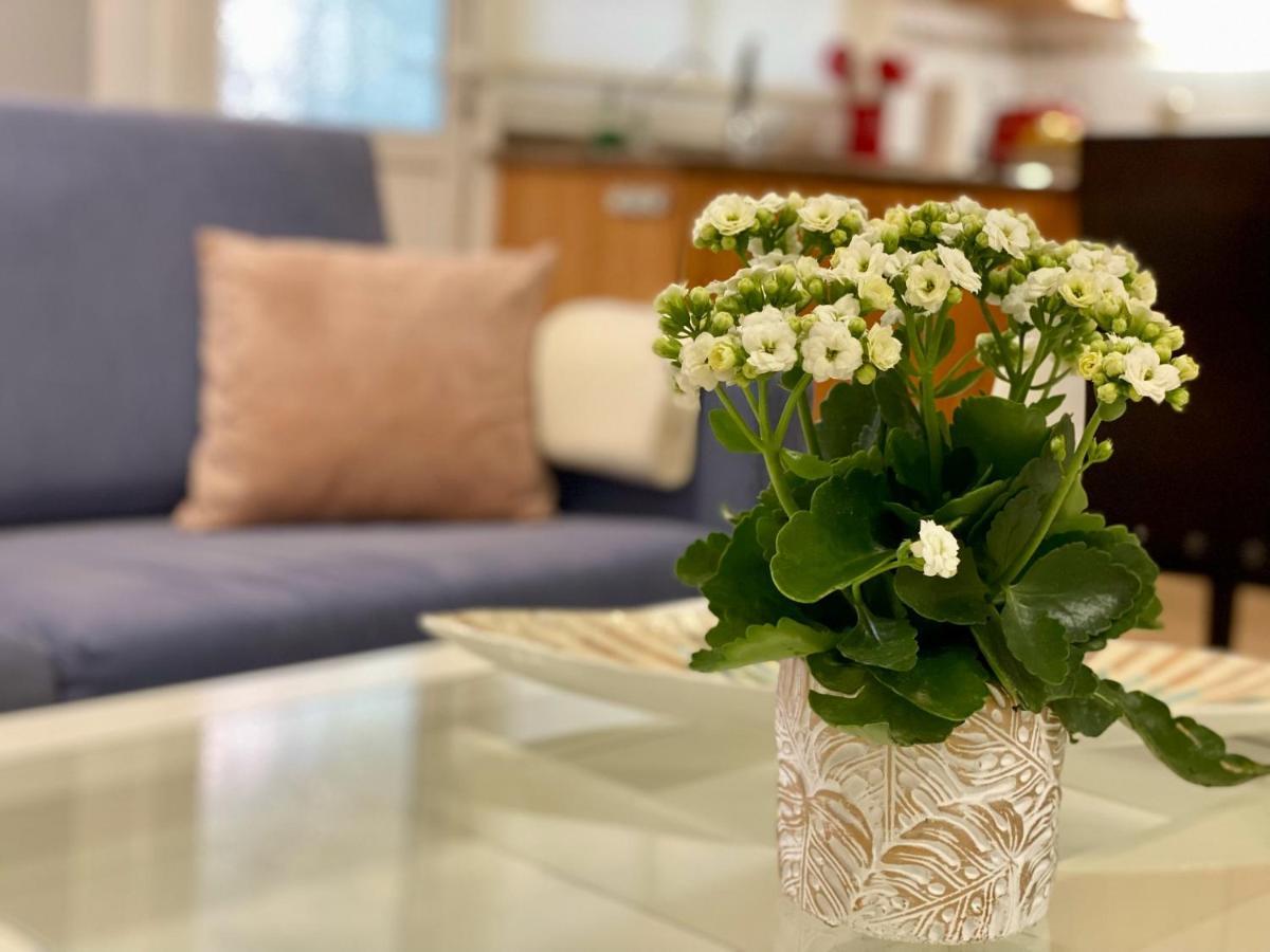 Apartmán Elegante Piso En Puerto De La Cruz Exteriér fotografie